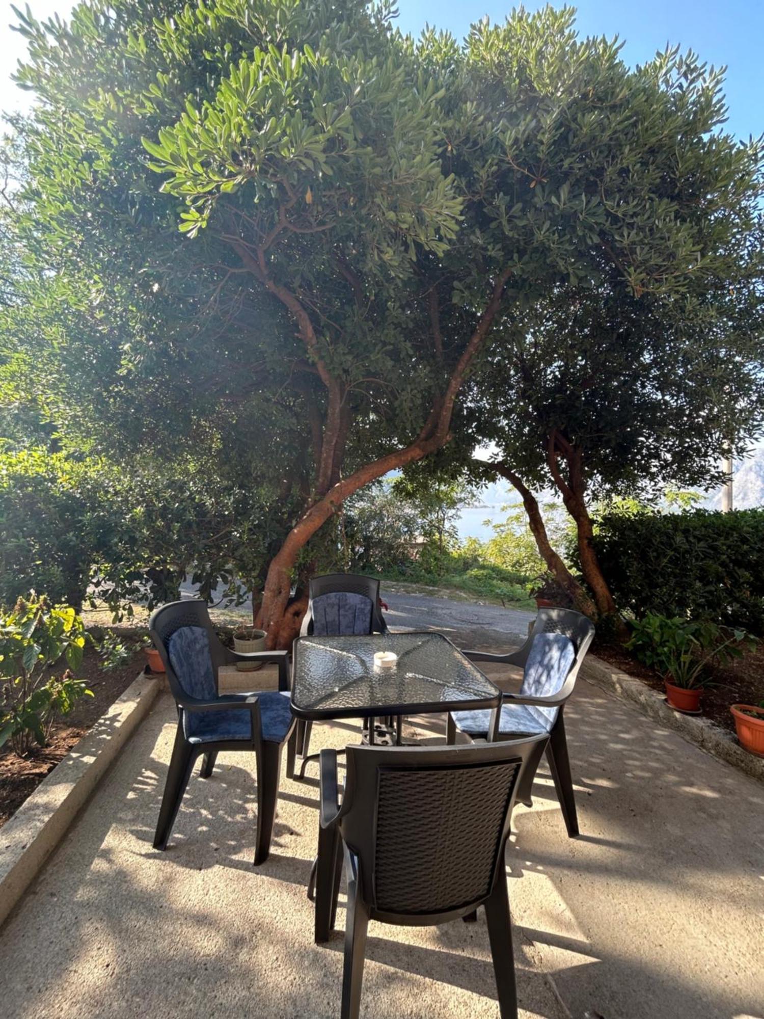 Blue Shell Apartments Κότορ Εξωτερικό φωτογραφία